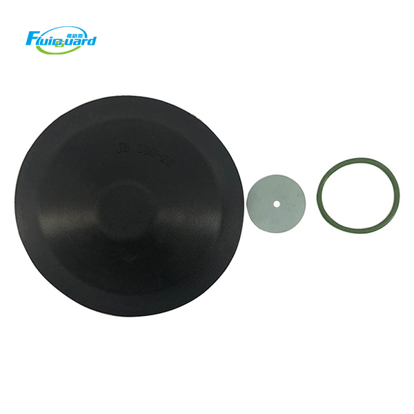 2901110100 Intake Valve Kit
