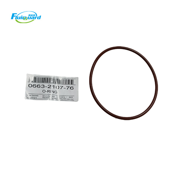 0663210776 O-Ring