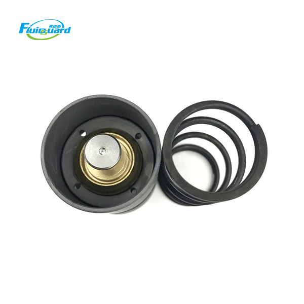 2901161600 Thermostat Valve Kit