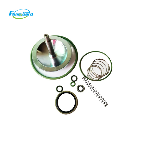 2906096100 Check Valve Kit