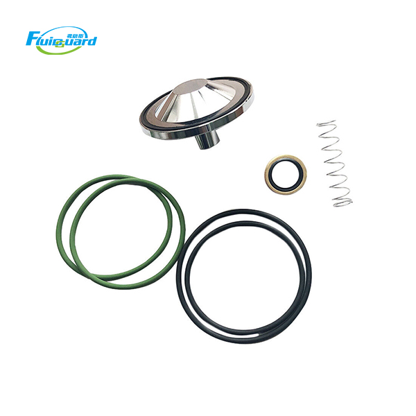2901021200 Check Valve Kit