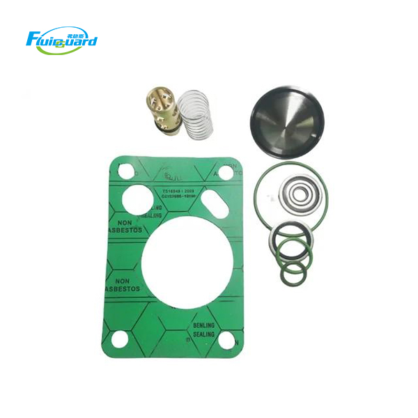 2906096000 Check Valve Kit