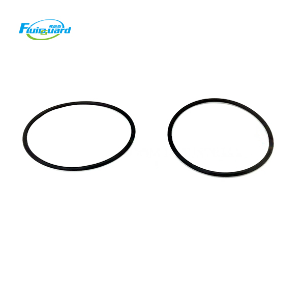 95061024 O-Ring