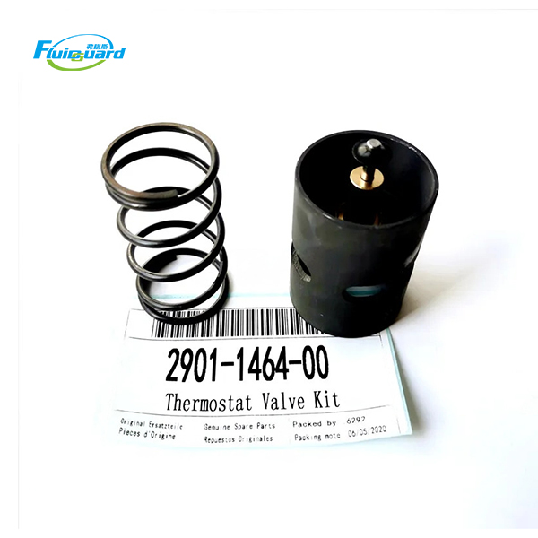 2901146400 Thermostat Valve Kit