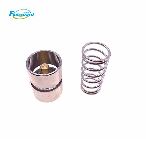1619756000 Thermostatic Valve Kit