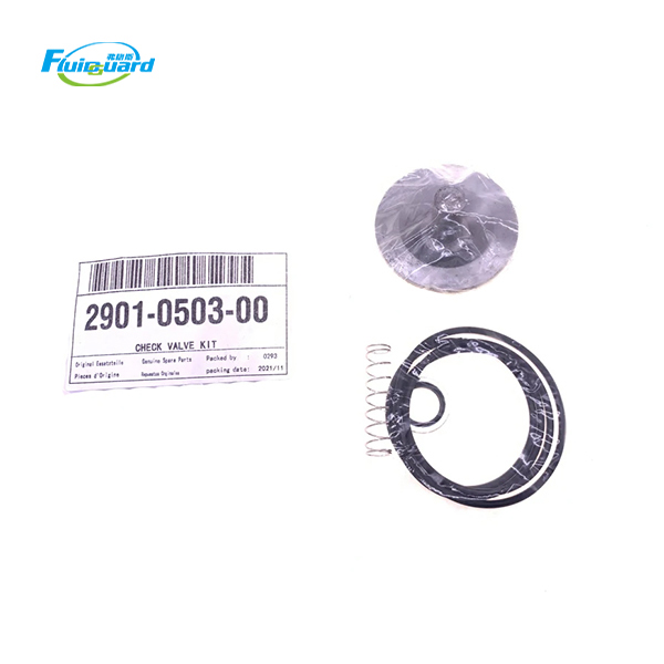 2901050300 Check Valve Kit