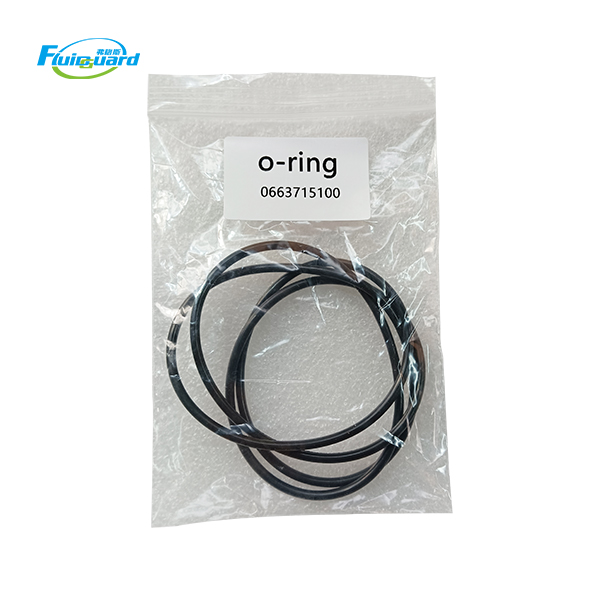 0663715100 O-Ring