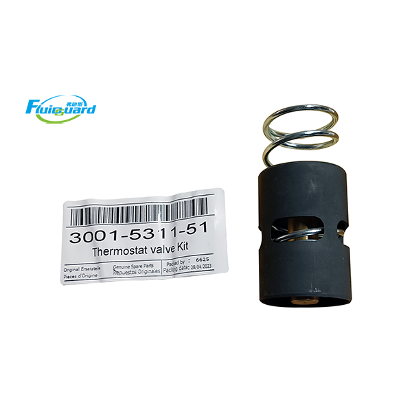 3001531151 Thermostat Valve Kit