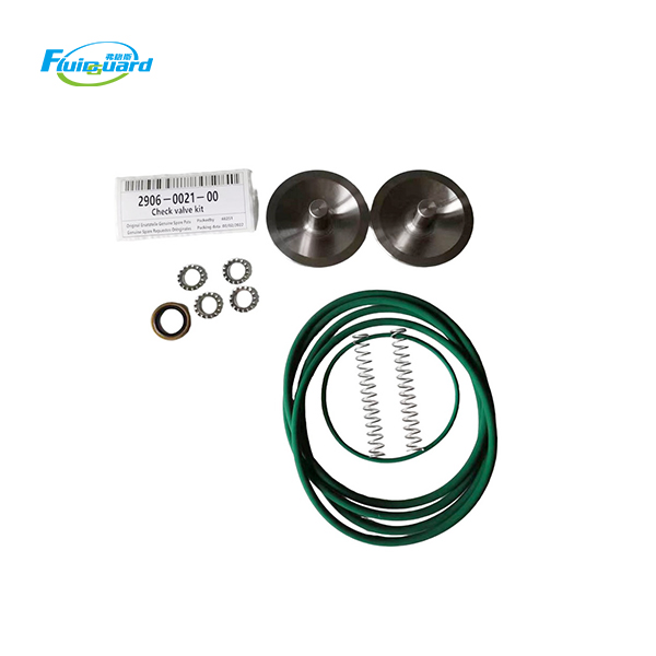 2906002100 Check Valve Kit