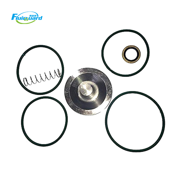 2901050301 Check Valve Kit