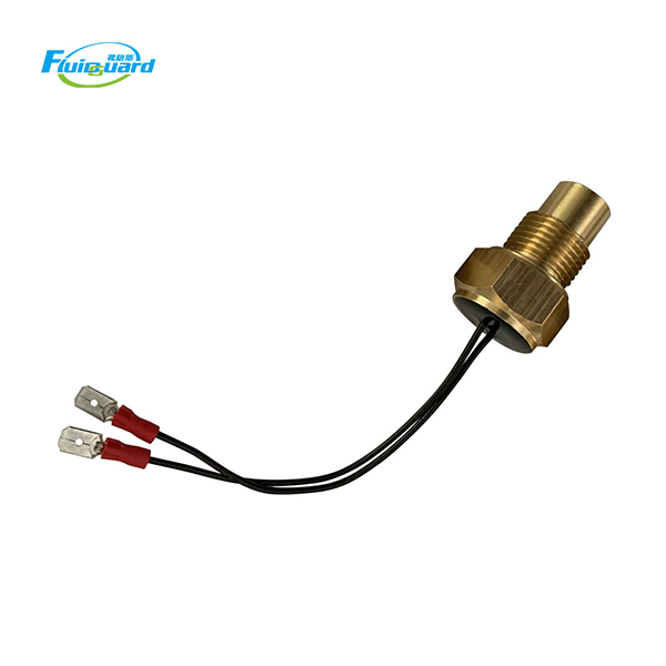 1089063724 Temperature Switch
