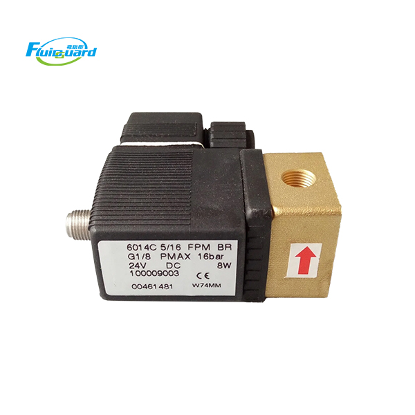 100009003 Solenoid Valve