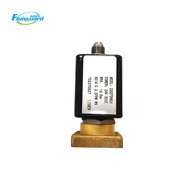 2202729801 Solenoid Valve