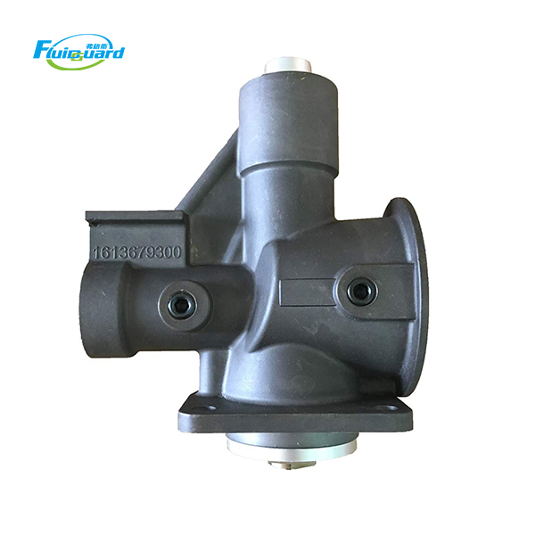 1613679300 Intake Valve