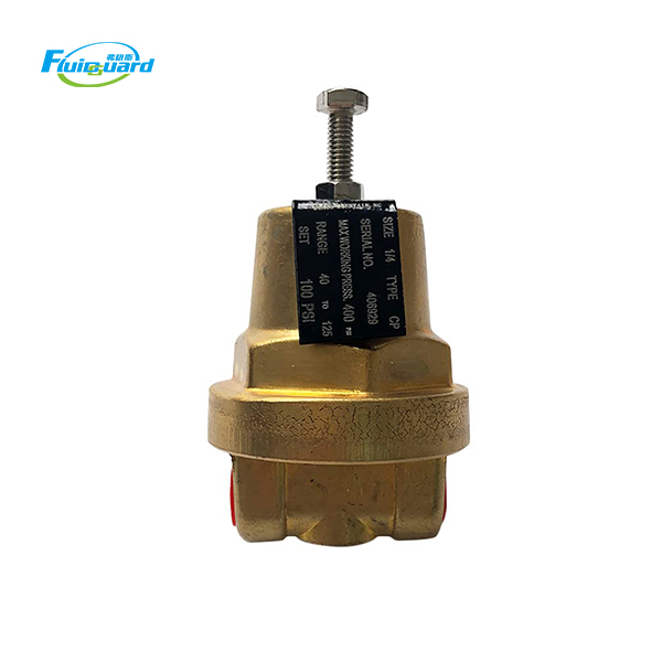 406929 Pressure Regulator Valve