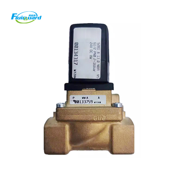 00134317 Solenoid Valve