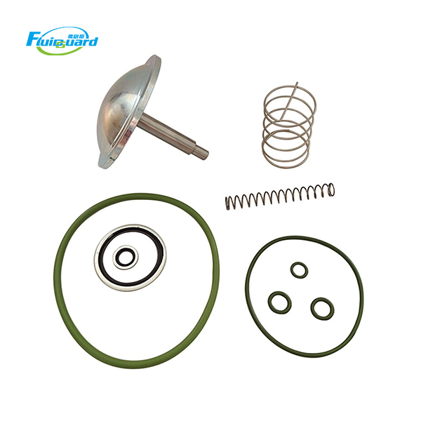 3001172100 Check Valve Kit