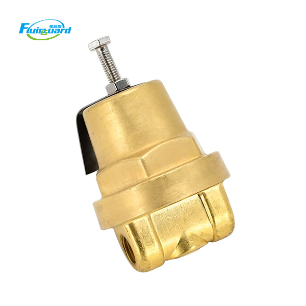 408275 Pressure Regulator Valve