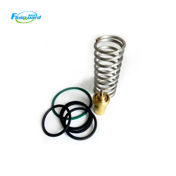 2205490592 Thermostatic Valve Kit