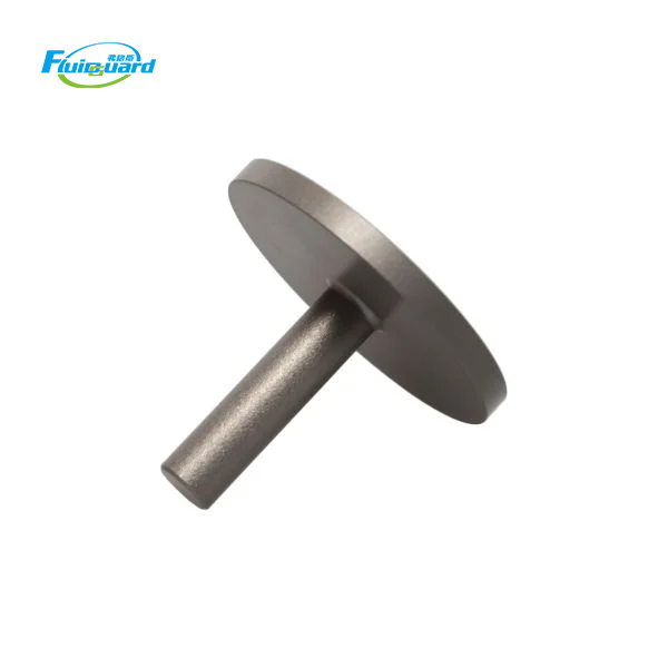 1613322100 Piston Valve