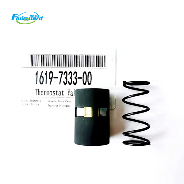1619733300 Thermostat Valve Kit