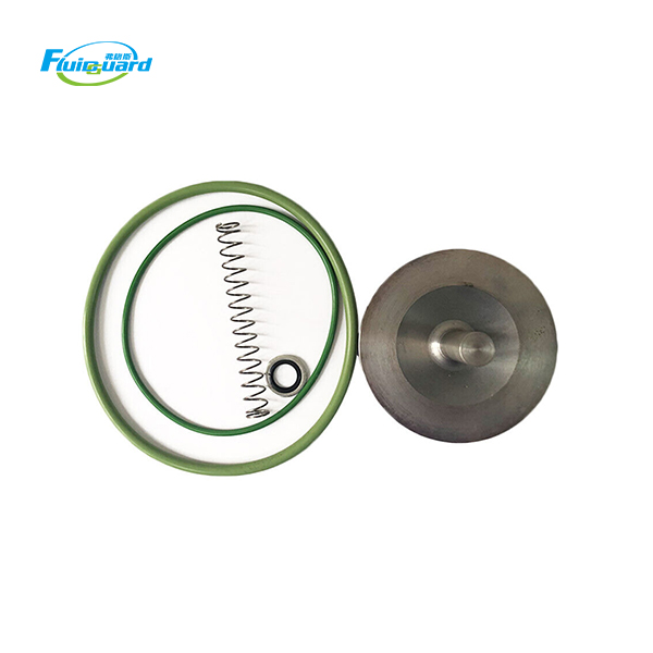 2906009300 Check Valve Kit
