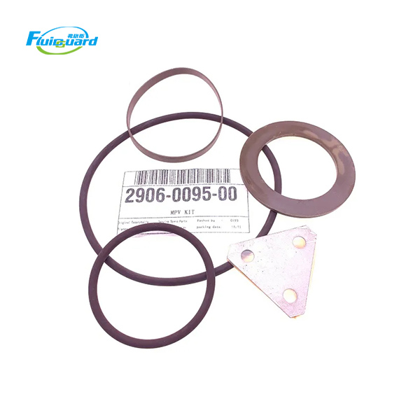 2906009500 Minimum Pressure Valve Kit