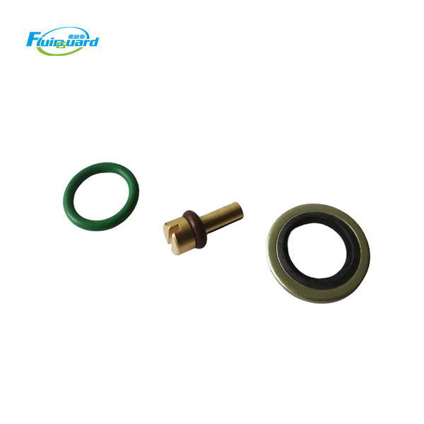 2901107700 Check Valve Kit