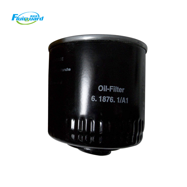 6.1876.1 Oil Filter Element