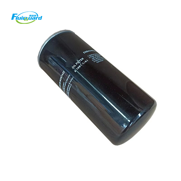 6.1981.1 Oil Filter Element