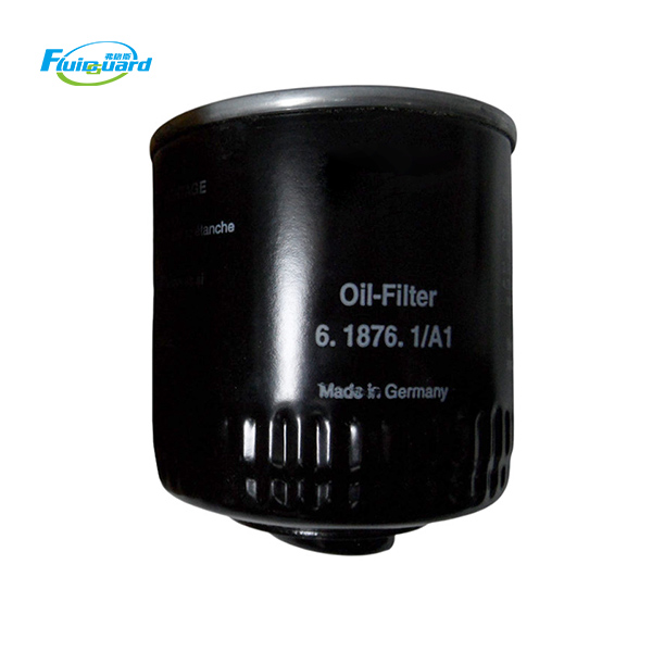 6.1876.1/A1 High Strength Oil Filter Element Cartridge For Compressor