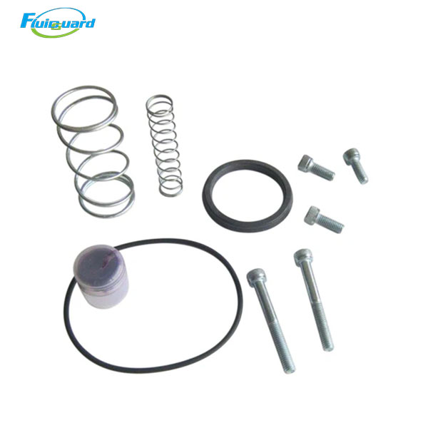 02250164-606 Inlet Valve Repair Kit
