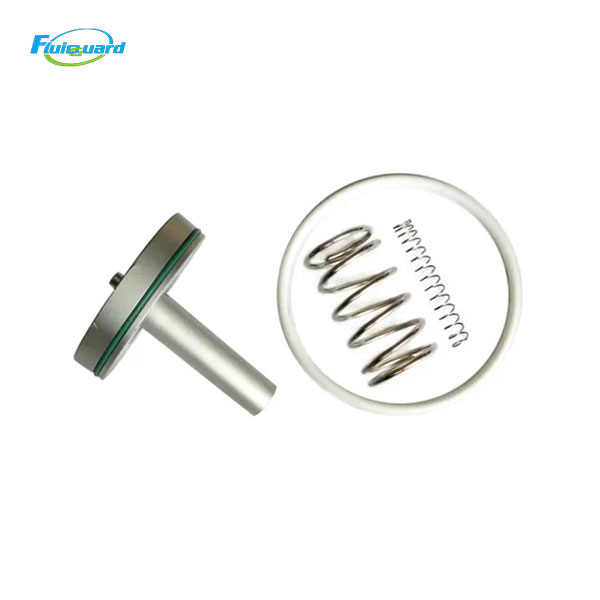 02250053-273 Intake Valve Service Kit