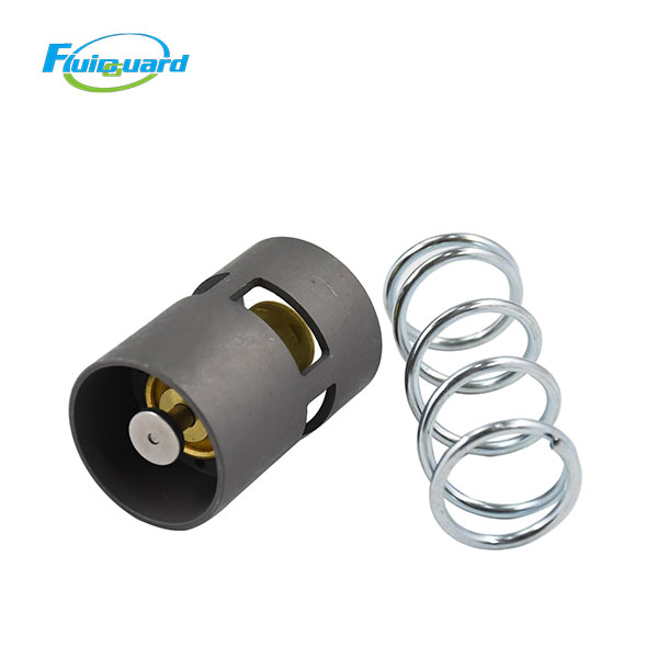 1622706403 Thermostatic Valve