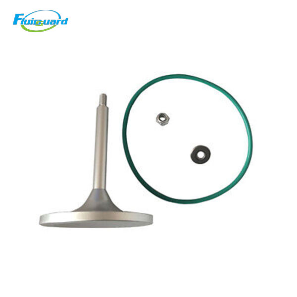 2901200652 Minimum Pressure Valve Kit