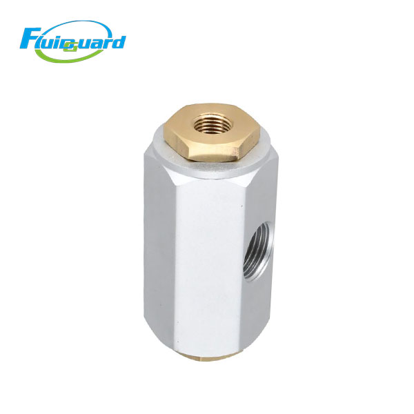 02250100-042 Blowdown Valve
