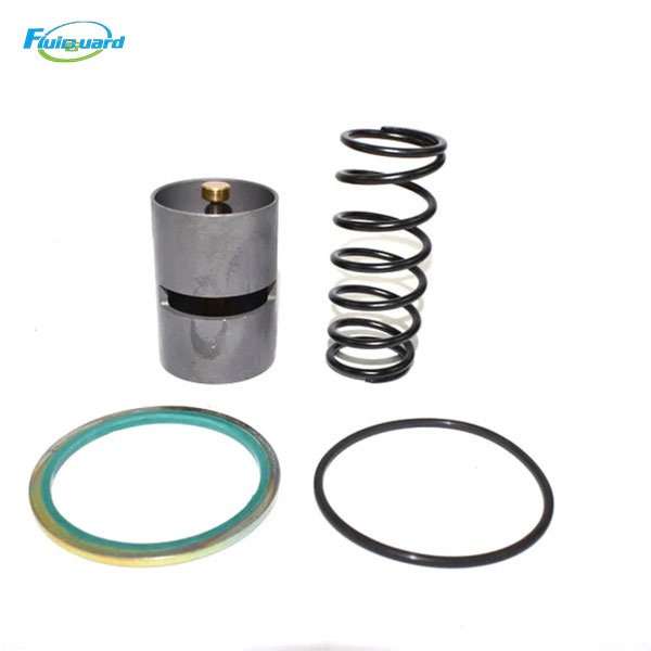 2901007400 Thermostat Valve Kit