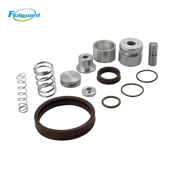 2906070100 Regul Valve Service Kit