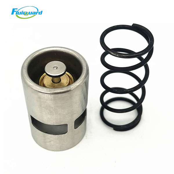 3001531150 Thermostat Valve Kit