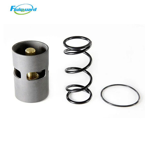 1619759600 Temperature Control Valve Kit