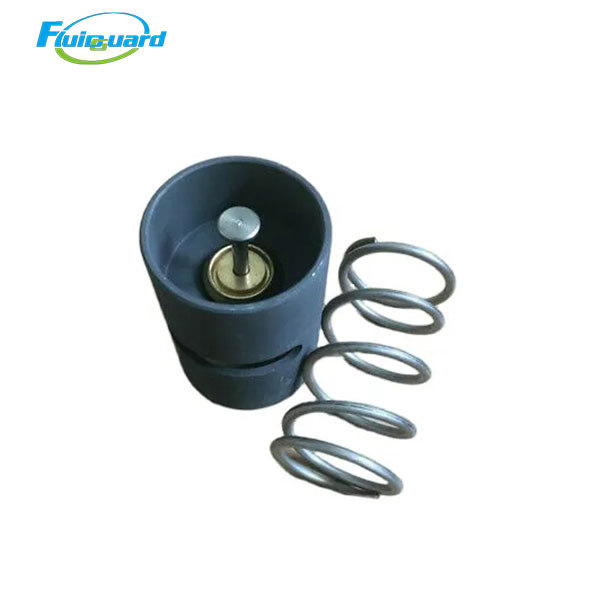 2901006800 Thermostatic Valve