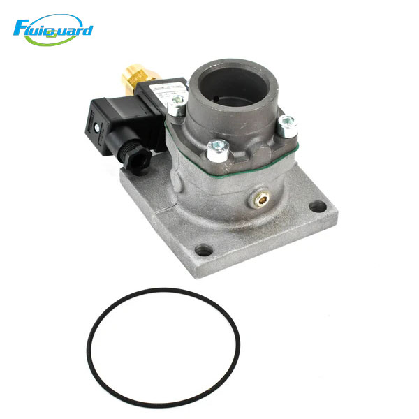 B009800780011 Inlet Valve