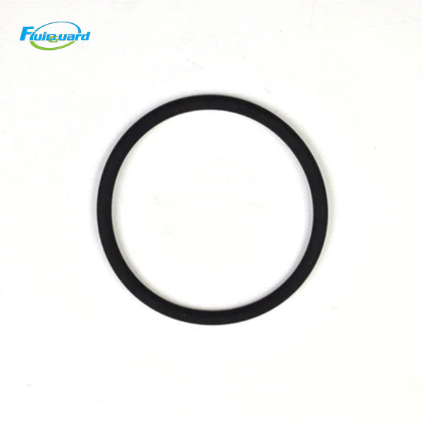 85646299 O-Ring Viton
