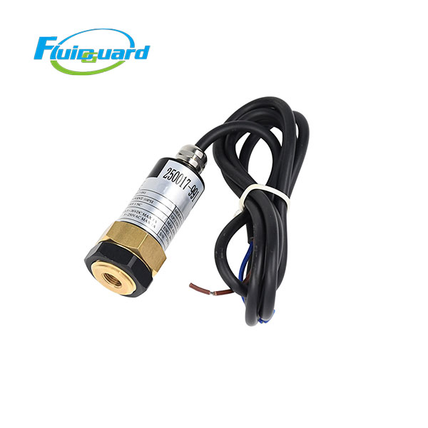 250017-991 Pressure Switch