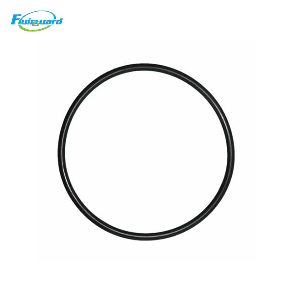 0663210724 O-Ring