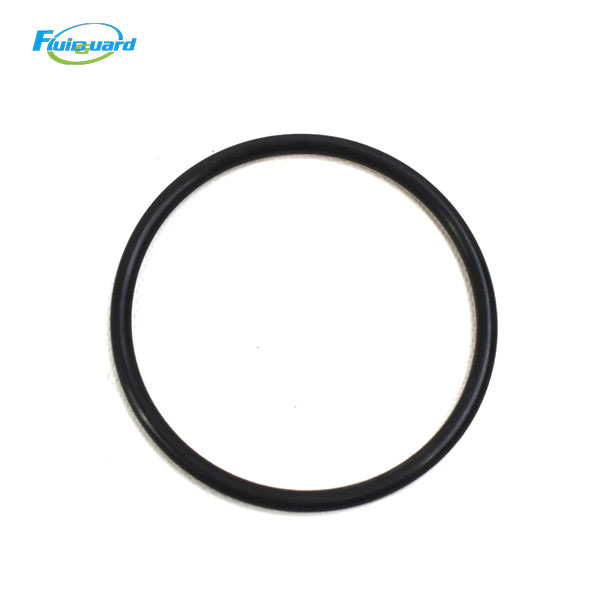 39404157 O-Ring