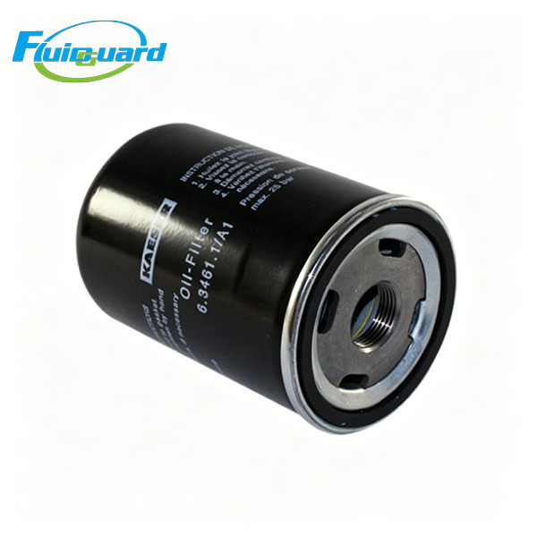 6.1981.10020 Oil Filter