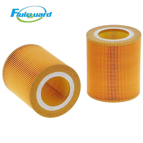 5690061661P  Air Filter