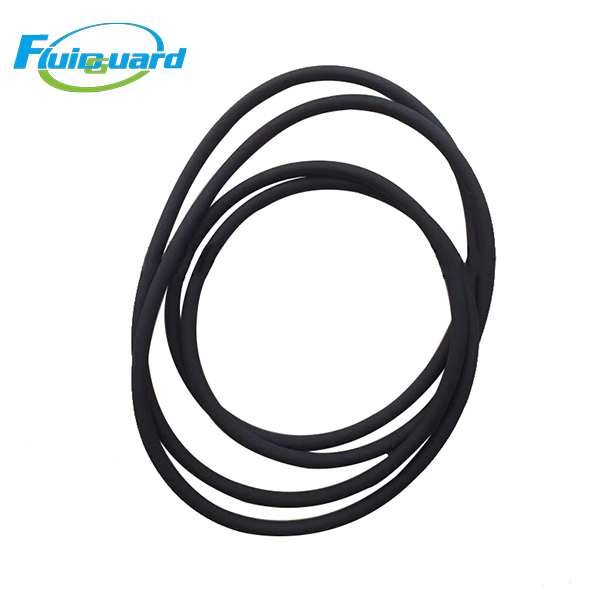 0661100039 O-Ring