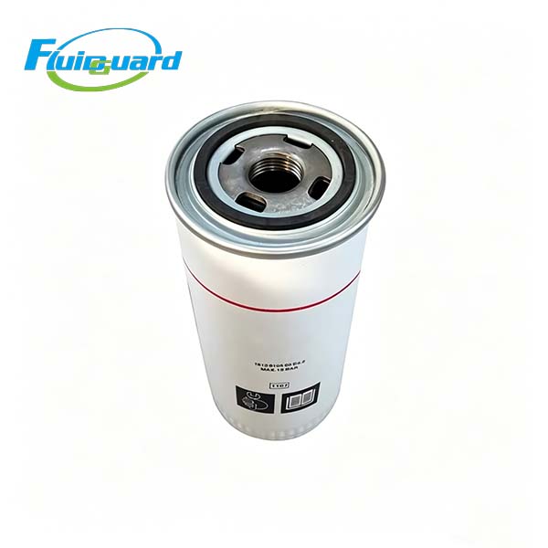 1613610501 Oil Filter   